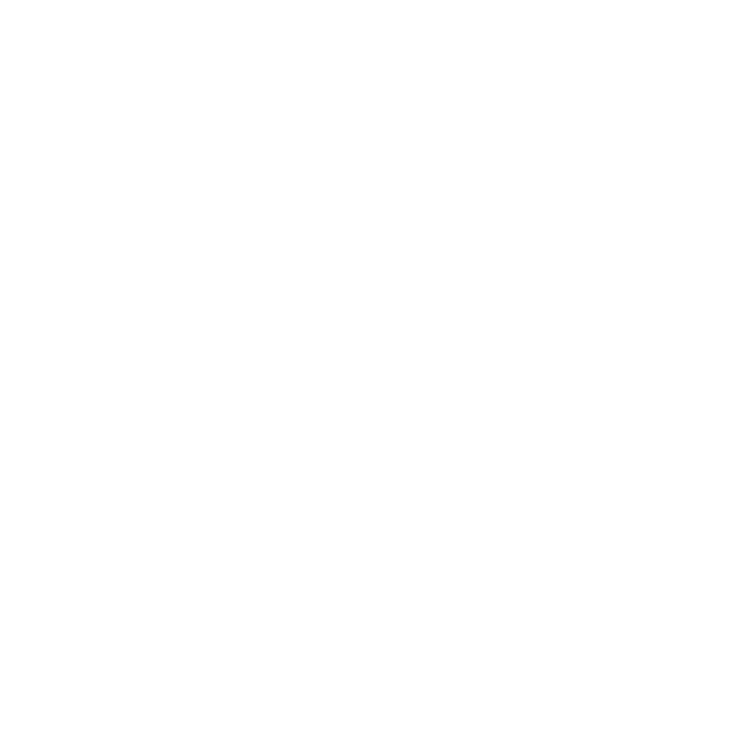 Google Analytics webanalyse